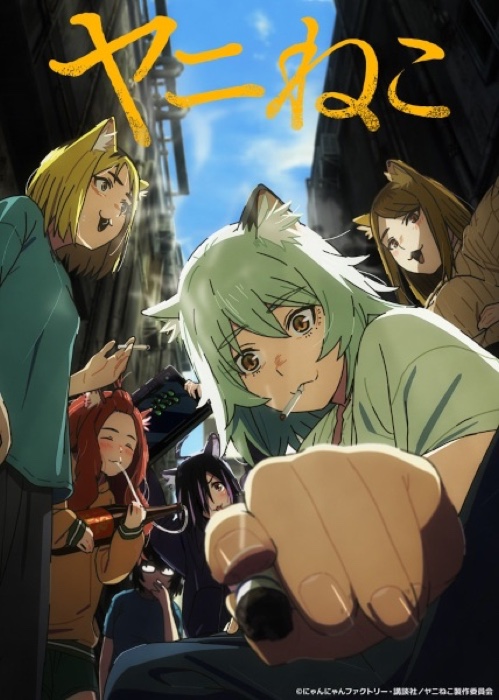 Yani Neko