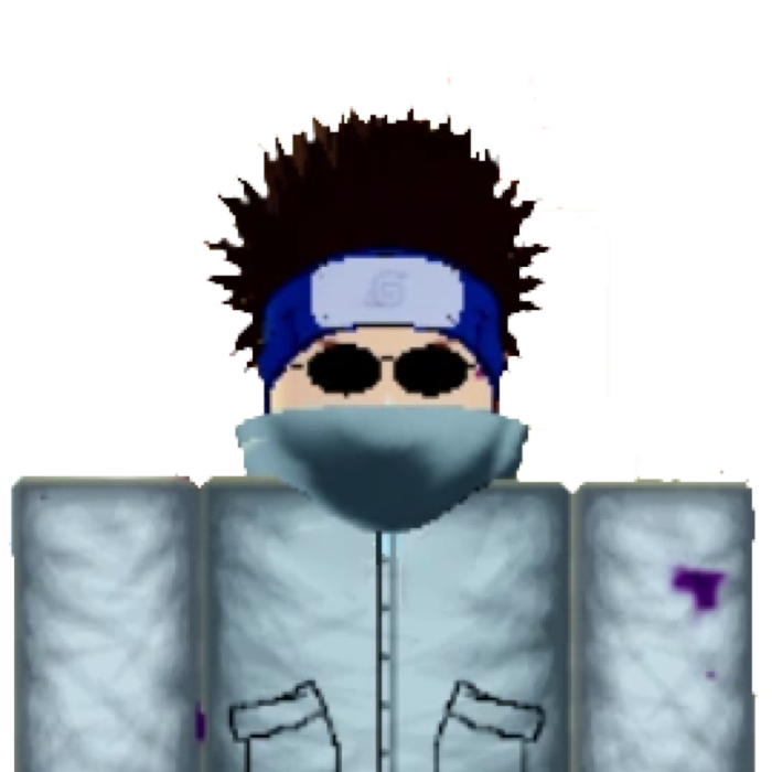 Bug Ninja