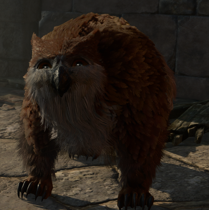 Owlbear Cub