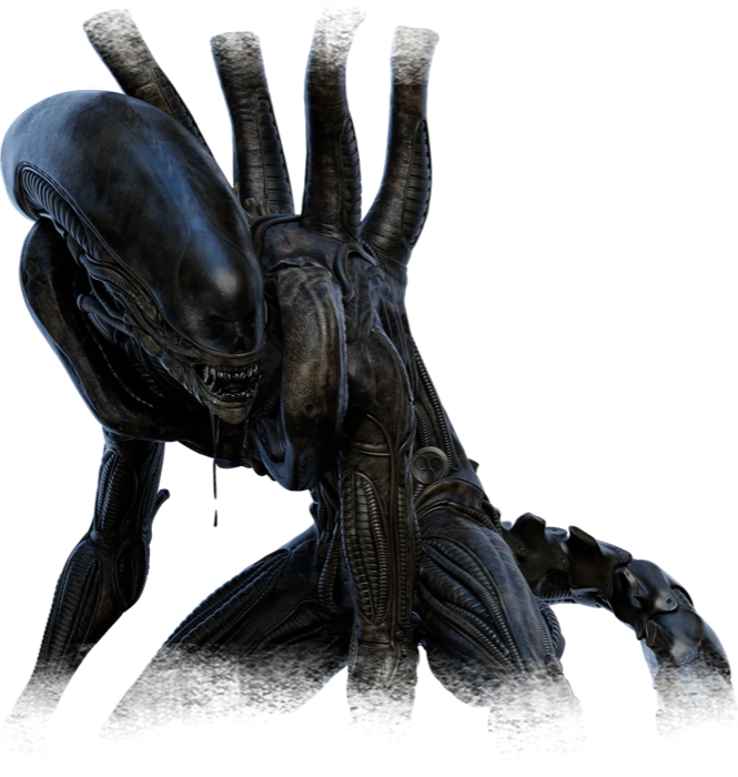 The Xenomorph