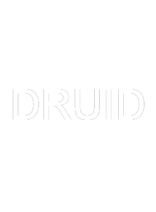 Druid