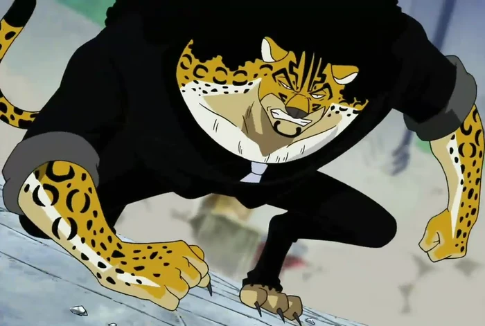 Neko Neko No Mi Model Leopard