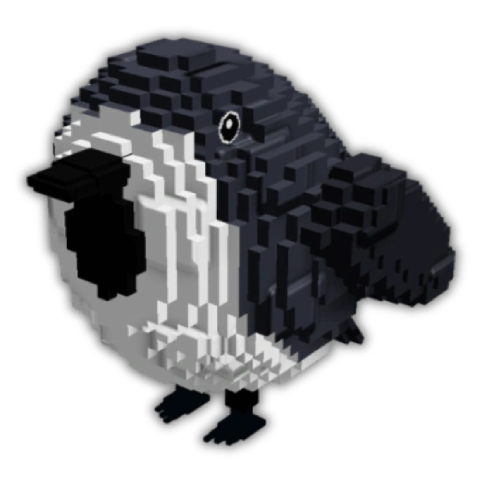 Birb