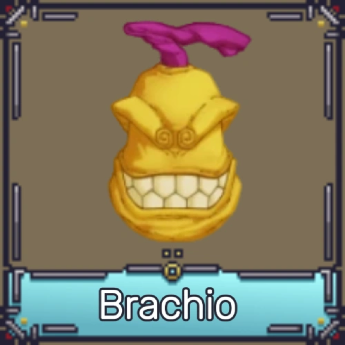Brachio Fruit