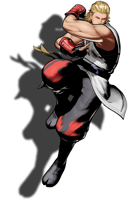 Andy Bogard