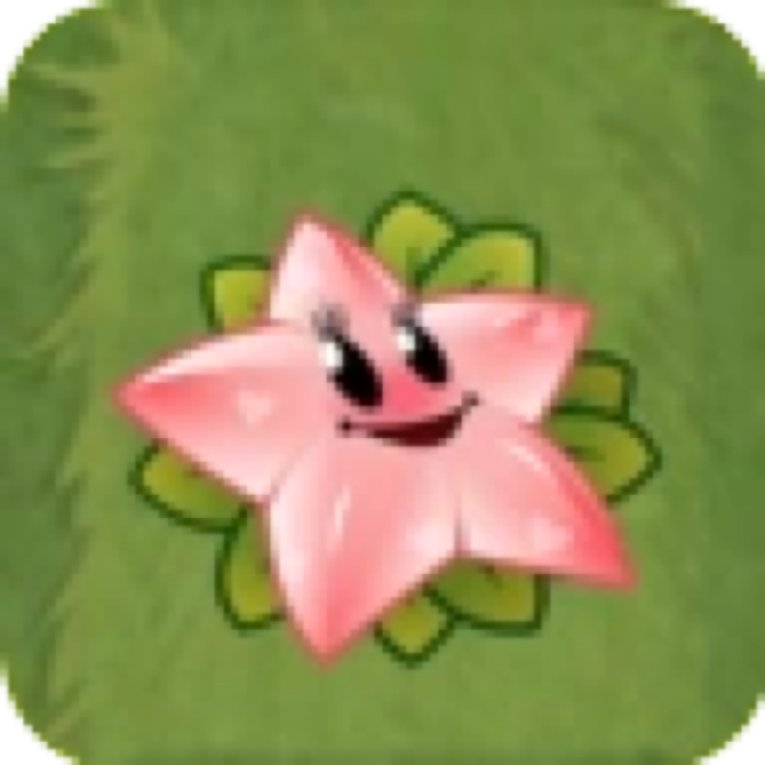 Angel Starfruit