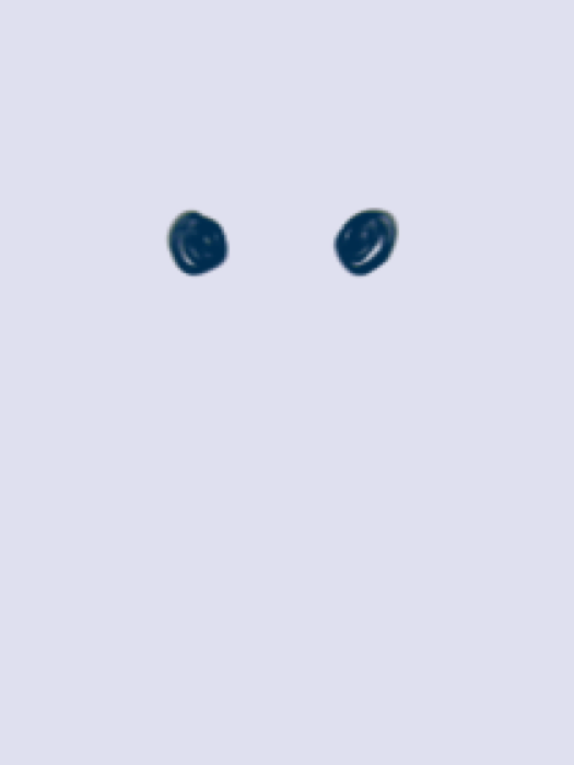 Echo