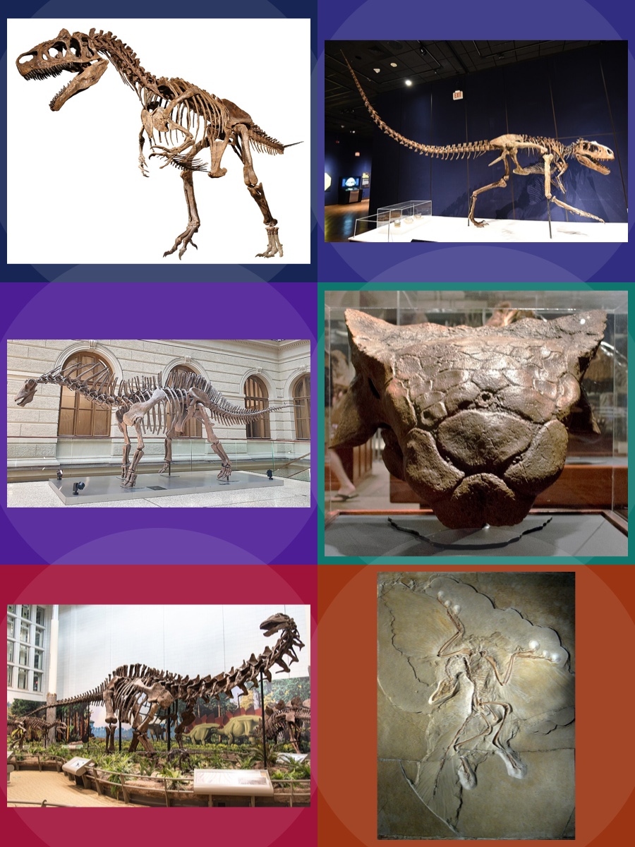Dinossauros