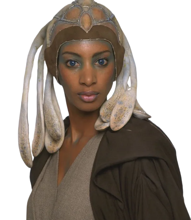 Adi Gallia