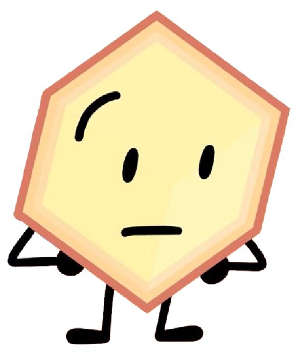 Loser